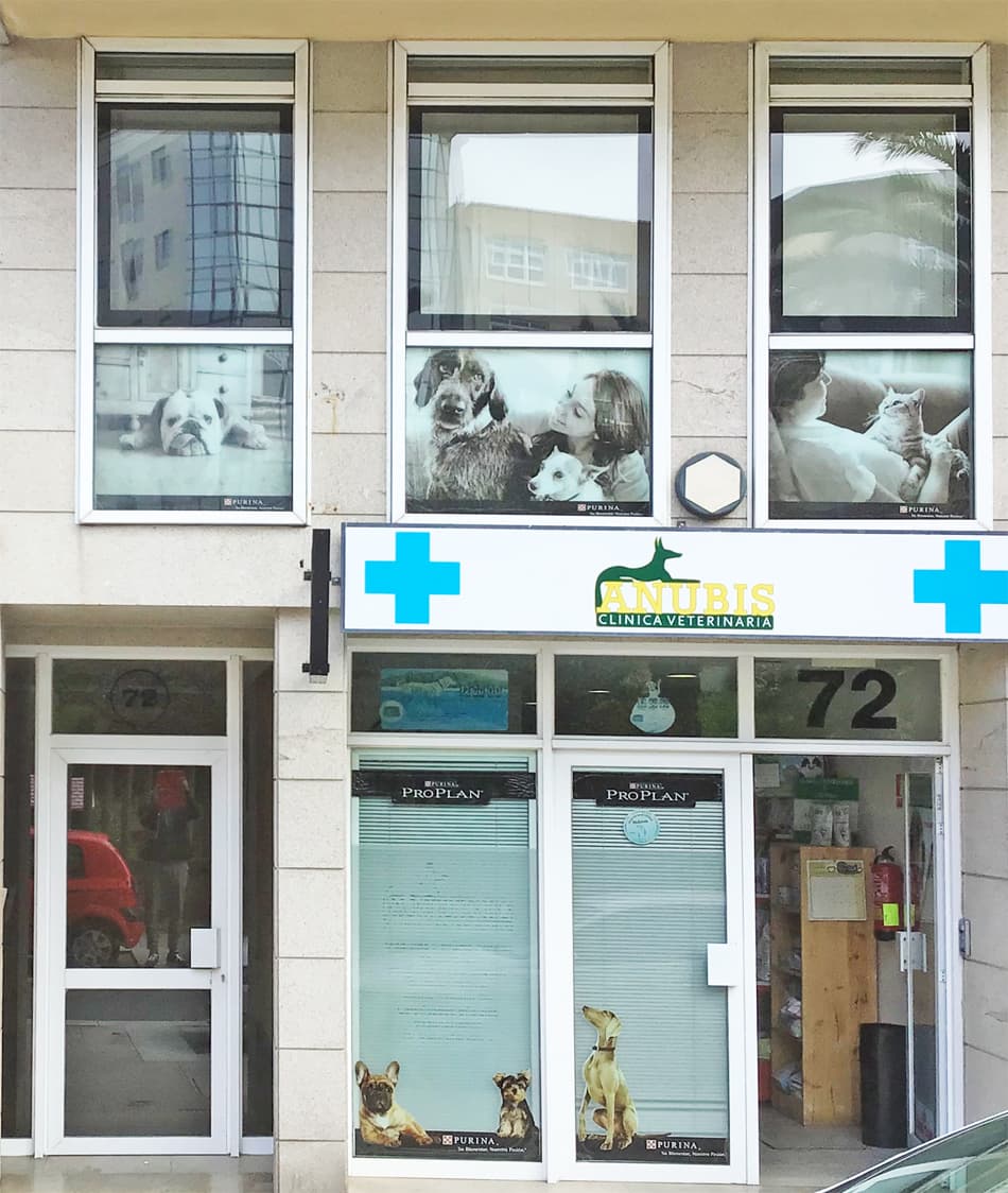  Su veterinario en A Coruña